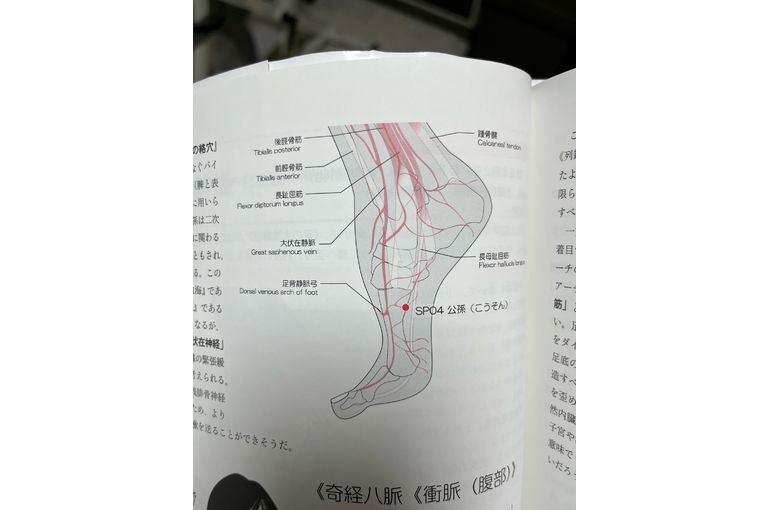 ツボの写真